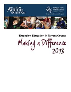 Annual Report cover 2013